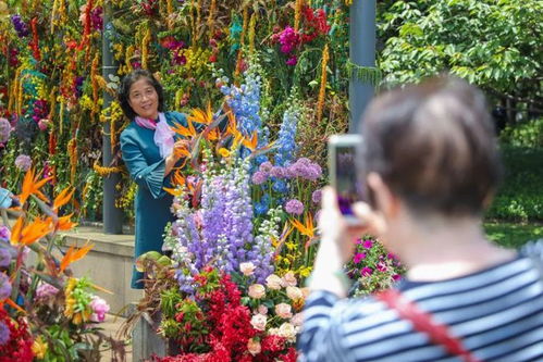 徐家匯公園20年煥新 從昔日工廠到城市森林的鮮花快閃慶典