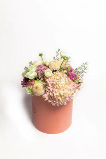 花卉攝影藝術(shù) 如何拍出令人心動的鮮花產(chǎn)品照