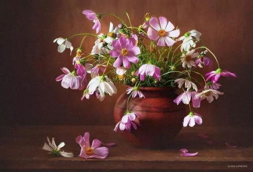 春意盎然 花卉攝影精品屏保推薦